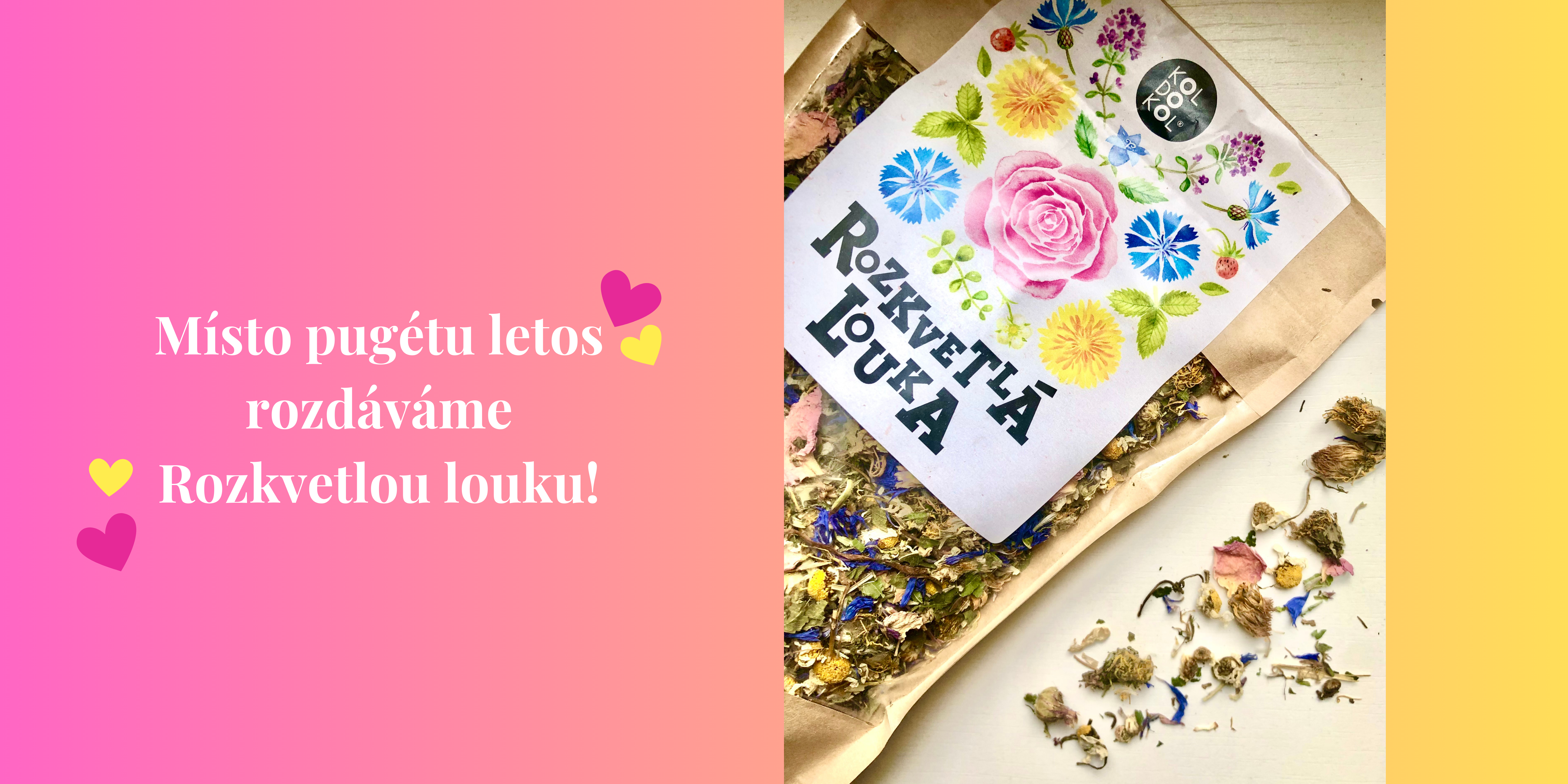 Koldokol valentýn banner (1)